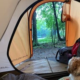 Review photo of Brunet Island State Park Campground by Gerald B., September 15, 2019