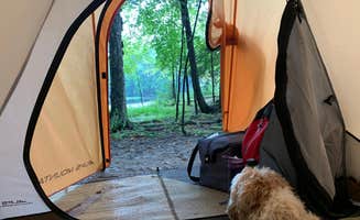 Gerald B.'s photo of camping with pets at Brunet Island State Park Campground near Menomonie, WI