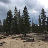 Review photo of Cottonwood Pass Walk in Campground by Erin M., August 7, 2017