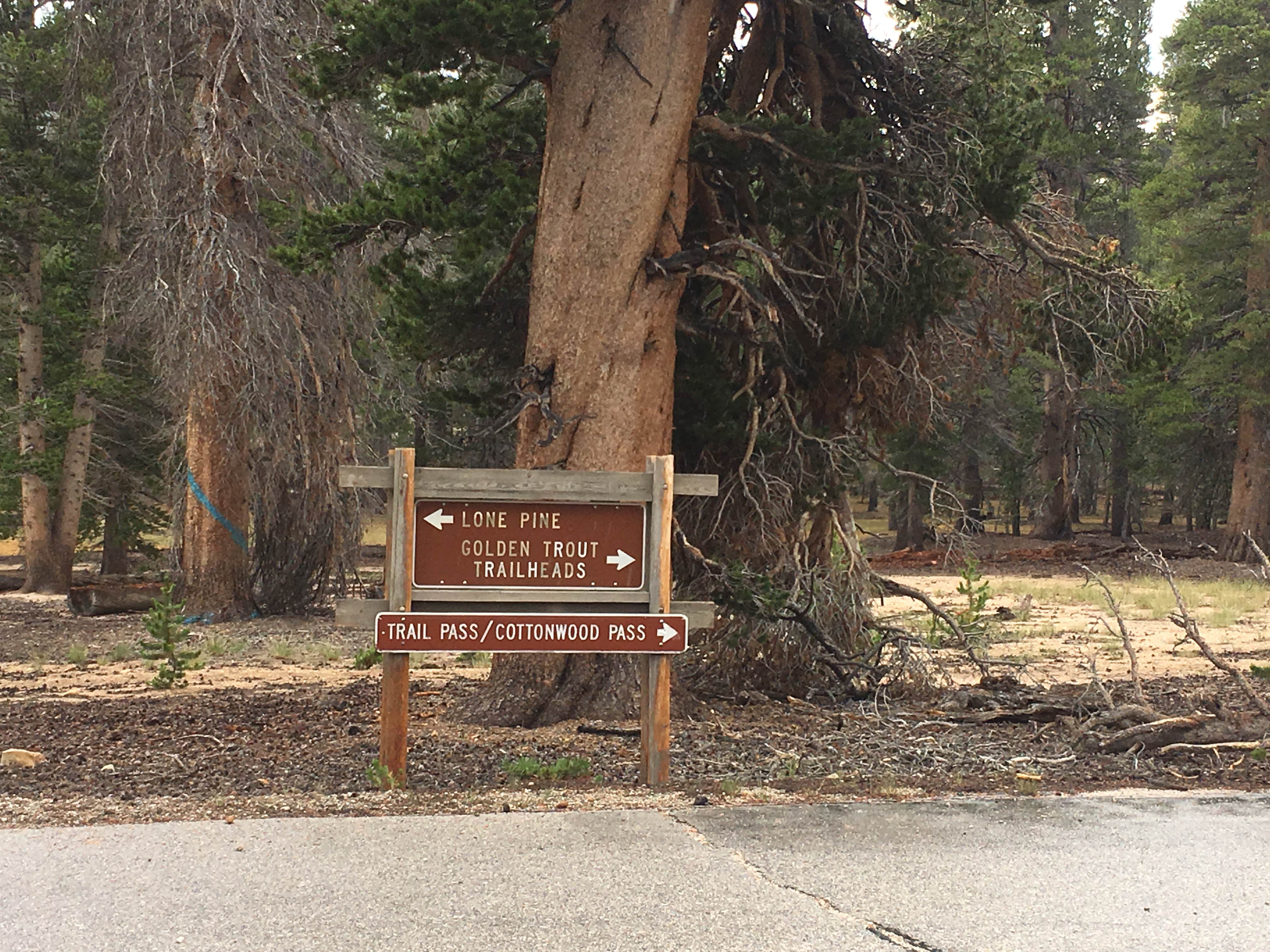 Cottonwood Pass Walk in Campground Camping Alabama Hills CA