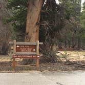 Review photo of Cottonwood Pass Walk in Campground by Erin M., August 7, 2017