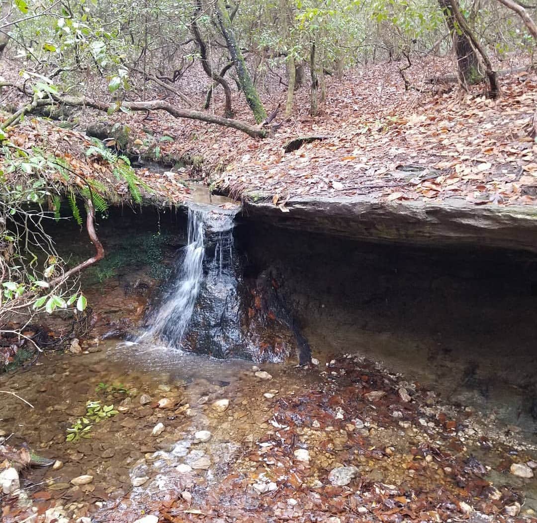 Camper submitted image from Canoe Camp — Raven Rock State Park - 4