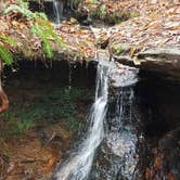 Review photo of Canoe Camp — Raven Rock State Park by James H., September 15, 2019