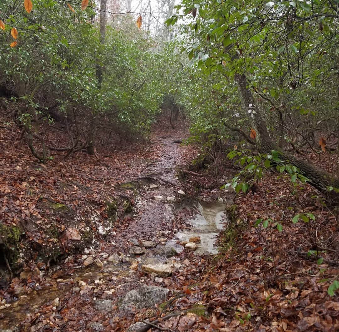 Camper-submitted photo at Canoe Camp — Raven Rock State Park near Southern Pines, NC