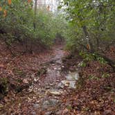 Review photo of Canoe Camp — Raven Rock State Park by James H., September 15, 2019