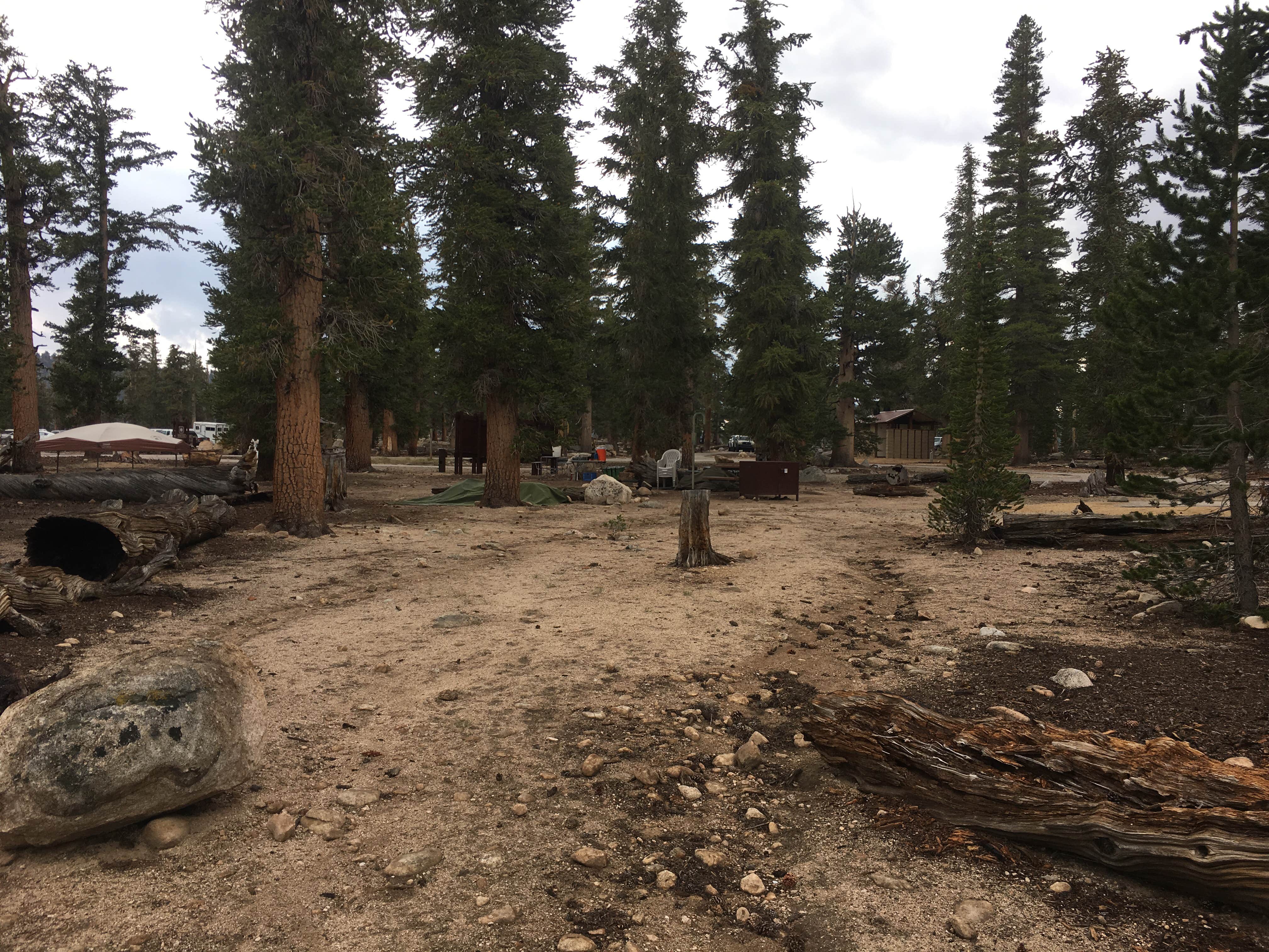 Camper-submitted photo at Cottonwood Pass Walk in Campground near Independence, CA