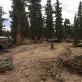Review photo of Cottonwood Pass Walk in Campground by Erin M., August 7, 2017