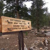 Review photo of Cottonwood Pass Walk in Campground by Erin M., August 7, 2017