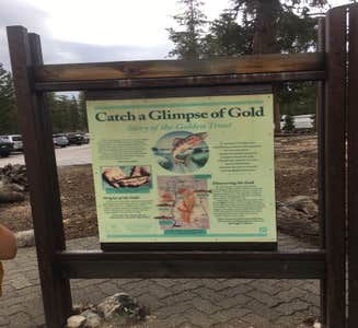 Camper-submitted photo from Cottonwood Pass Walk in Campground