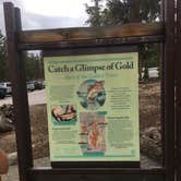 Review photo of Cottonwood Pass Walk in Campground by Erin M., August 7, 2017