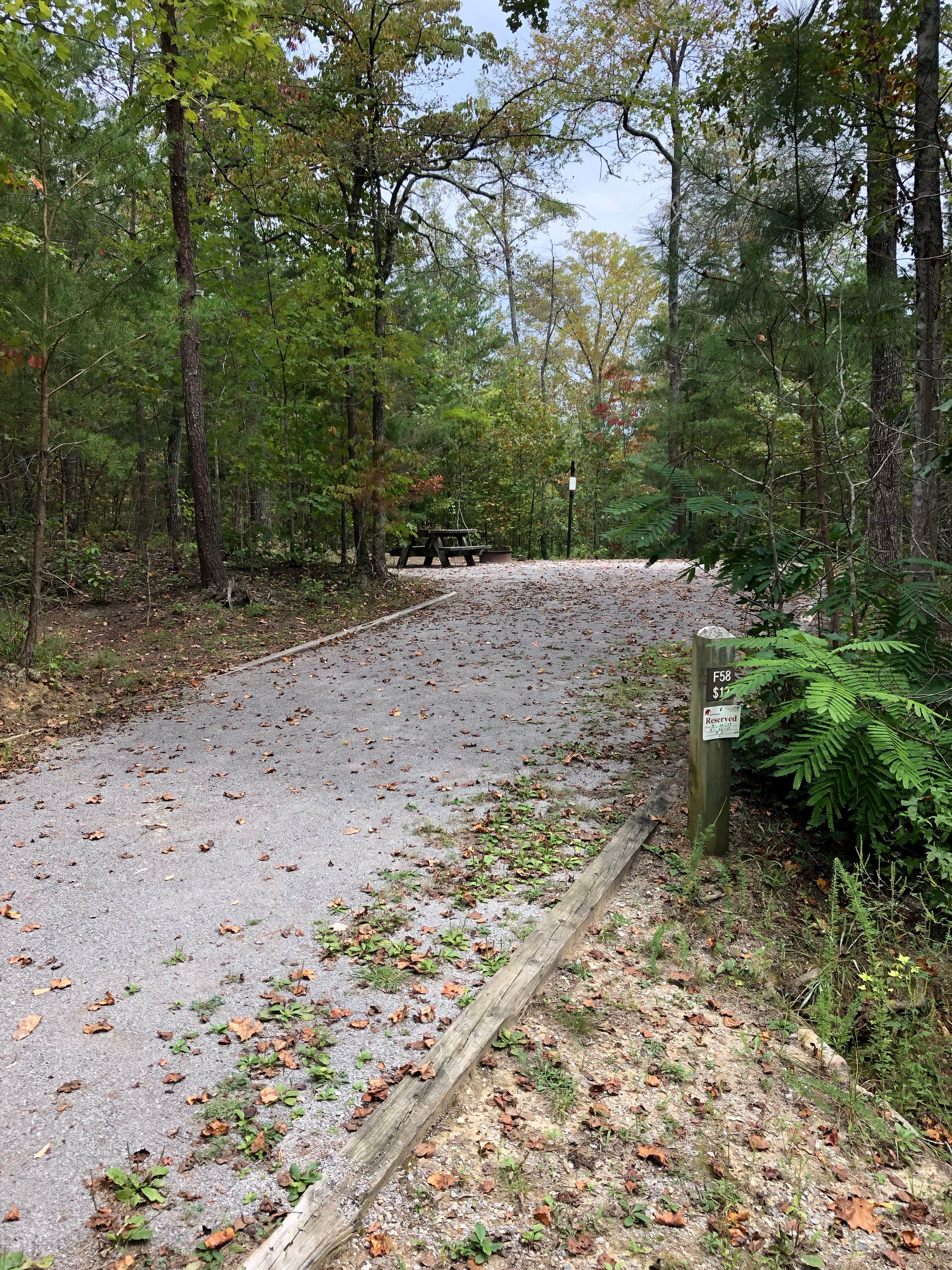 Camper-submitted photo at Chilhowee near Benton, TN