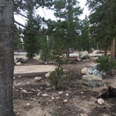 Review photo of Cottonwood Pass Walk in Campground by Erin M., August 7, 2017