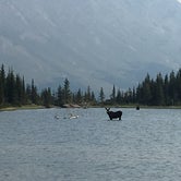 Review photo of Saint Mary Glacier Park KOA Kampground by Easton S., August 11, 2019