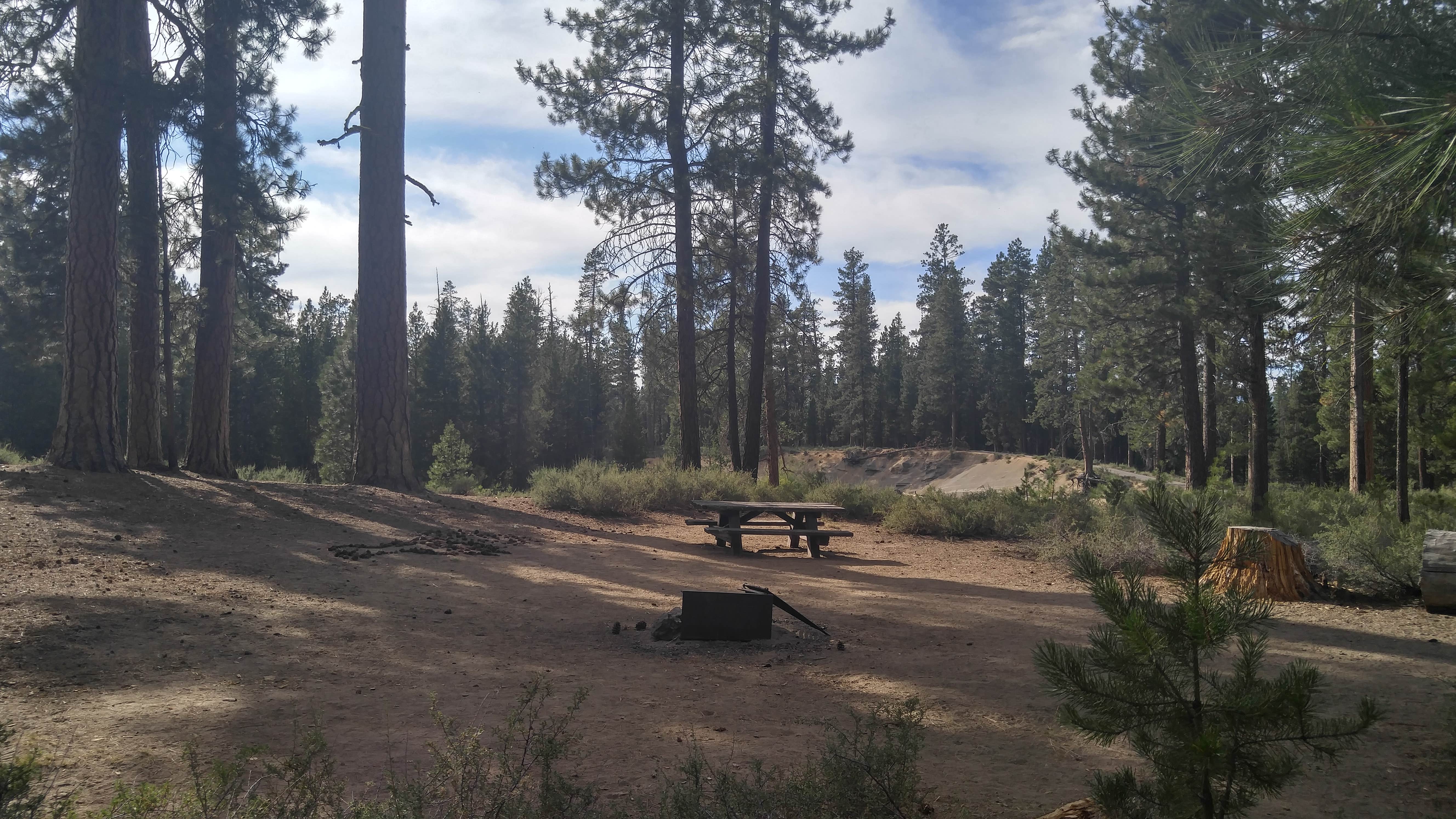 Camper submitted image from Bull Bend Campground - 2