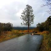 Review photo of Blueberry Lake State Recreation Site by Shadara W., September 15, 2019