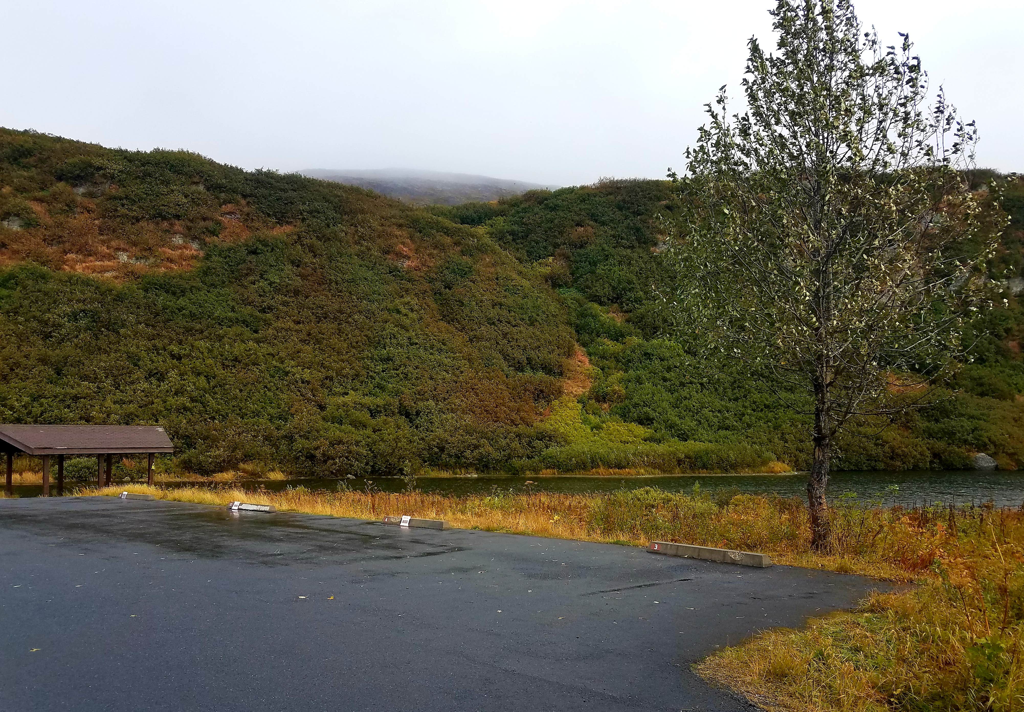 Camper-submitted photo at Blueberry Lake State Recreation Site near Valdez, AK