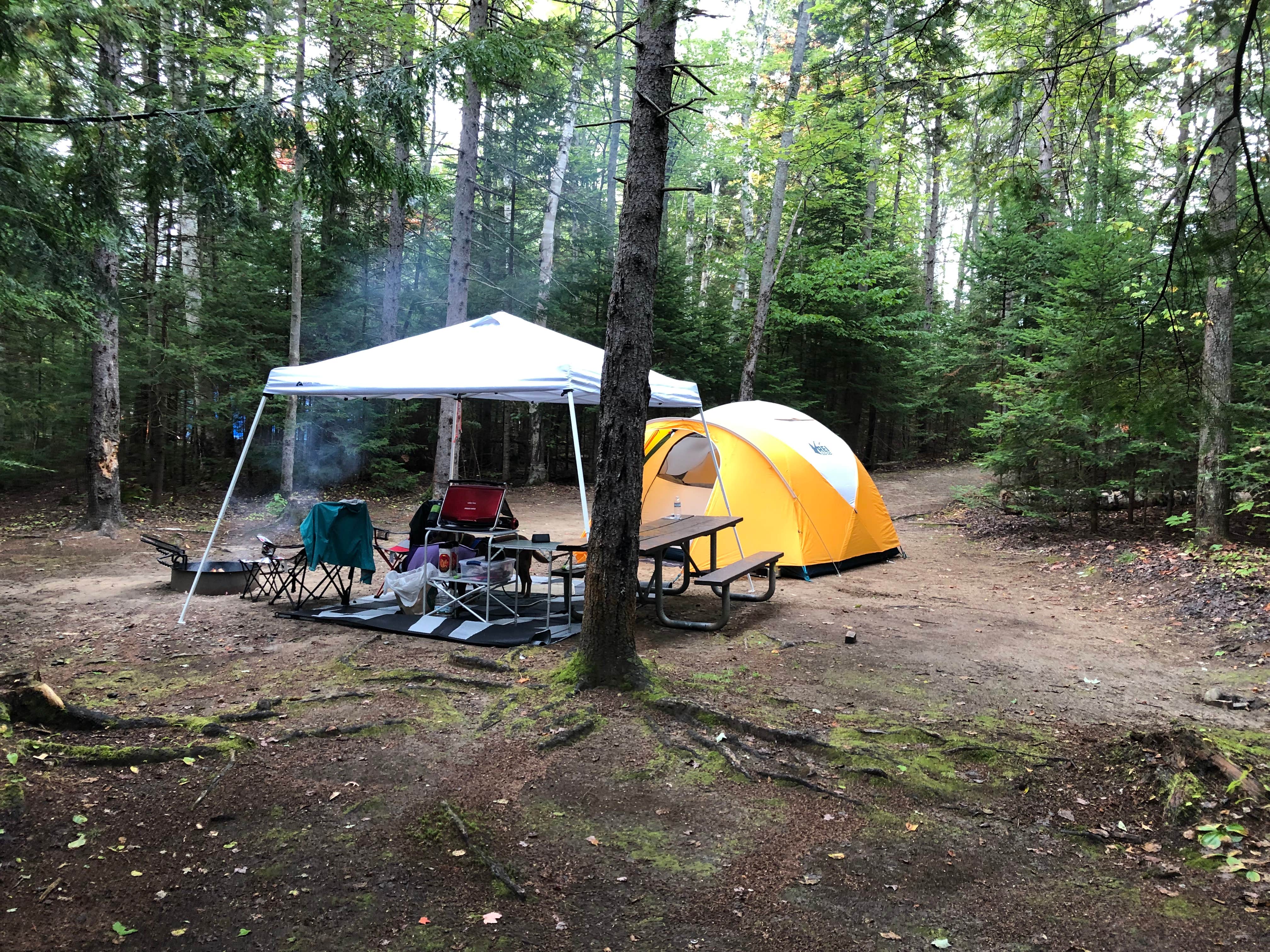 Somer F.'s photo at Moose Brook State Park Campground near Randolph, NH