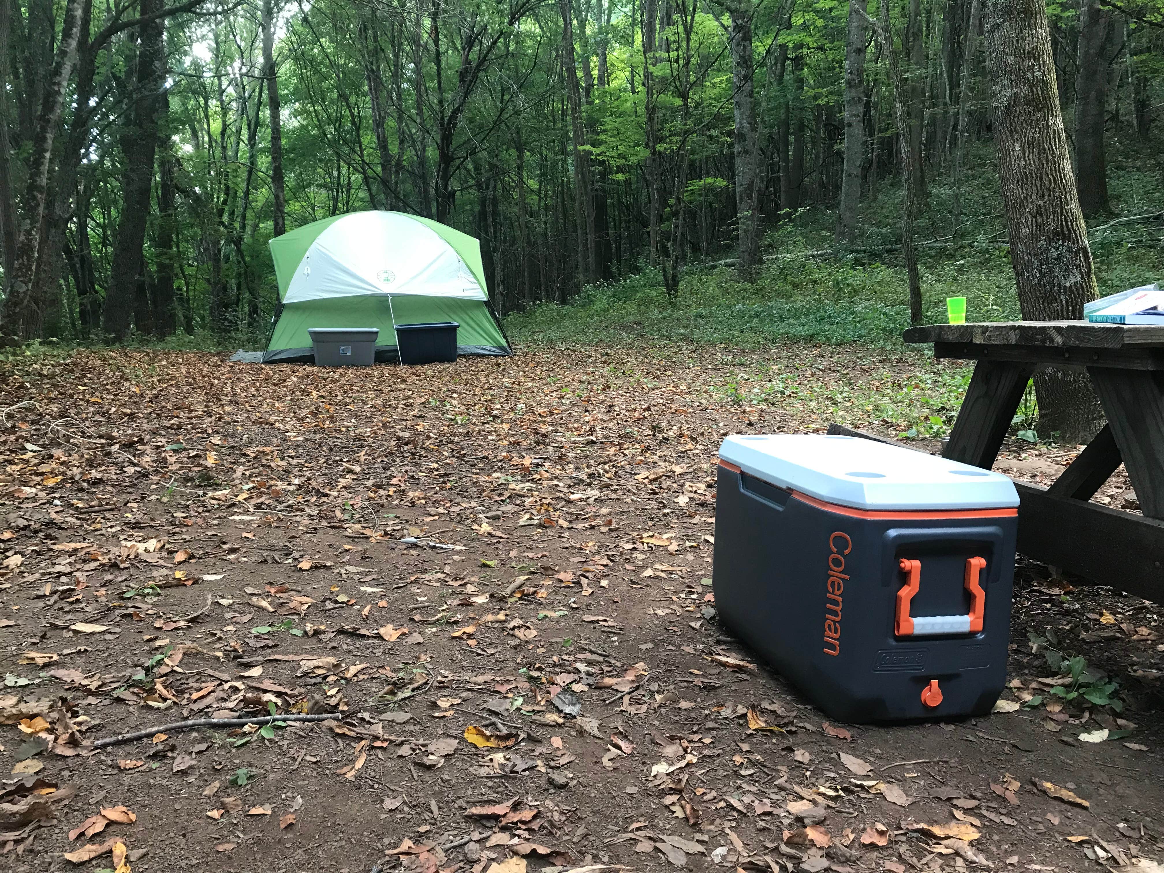 Jen D.'s photo of tent camping at Blue Bear Mountain Camp near Conover, NC