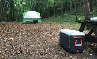 Jen D.'s photo at Blue Bear Mountain Camp near Blowing Rock, NC