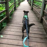 Review photo of Gooseberry Falls State Park Campground by Heather N., September 16, 2019