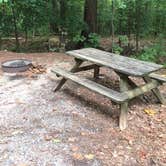 Review photo of Paris Mountain State Park Campground by Casi O., September 16, 2019