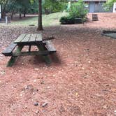 Review photo of Paris Mountain State Park Campground by Casi O., September 16, 2019