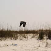 Review photo of Fort Pickens Campground — Gulf Islands National Seashore by Tessa M., June 29, 2016