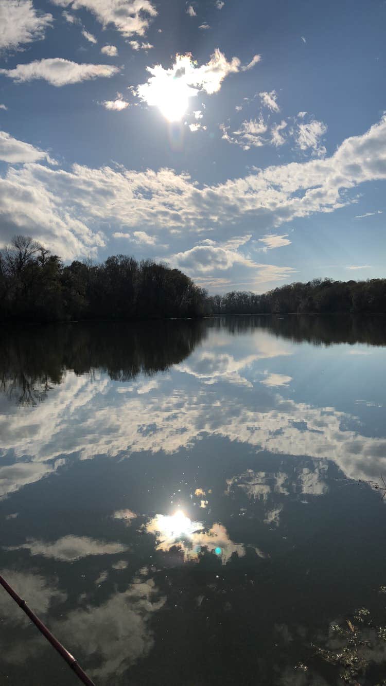 Camper submitted image from Rood Creek Park Camping - 2