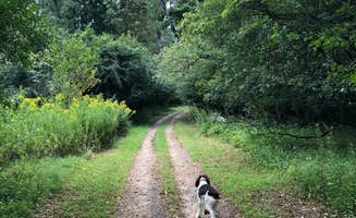 Kelly B.'s photo of camping with pets at Willow Mill Campsite LLC near Beaver Dam, WI