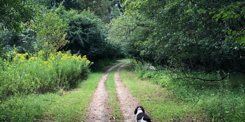 Camper submitted image from Willow Mill Campsite LLC