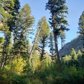 Review photo of Pine Creek Campground by David H., September 16, 2019