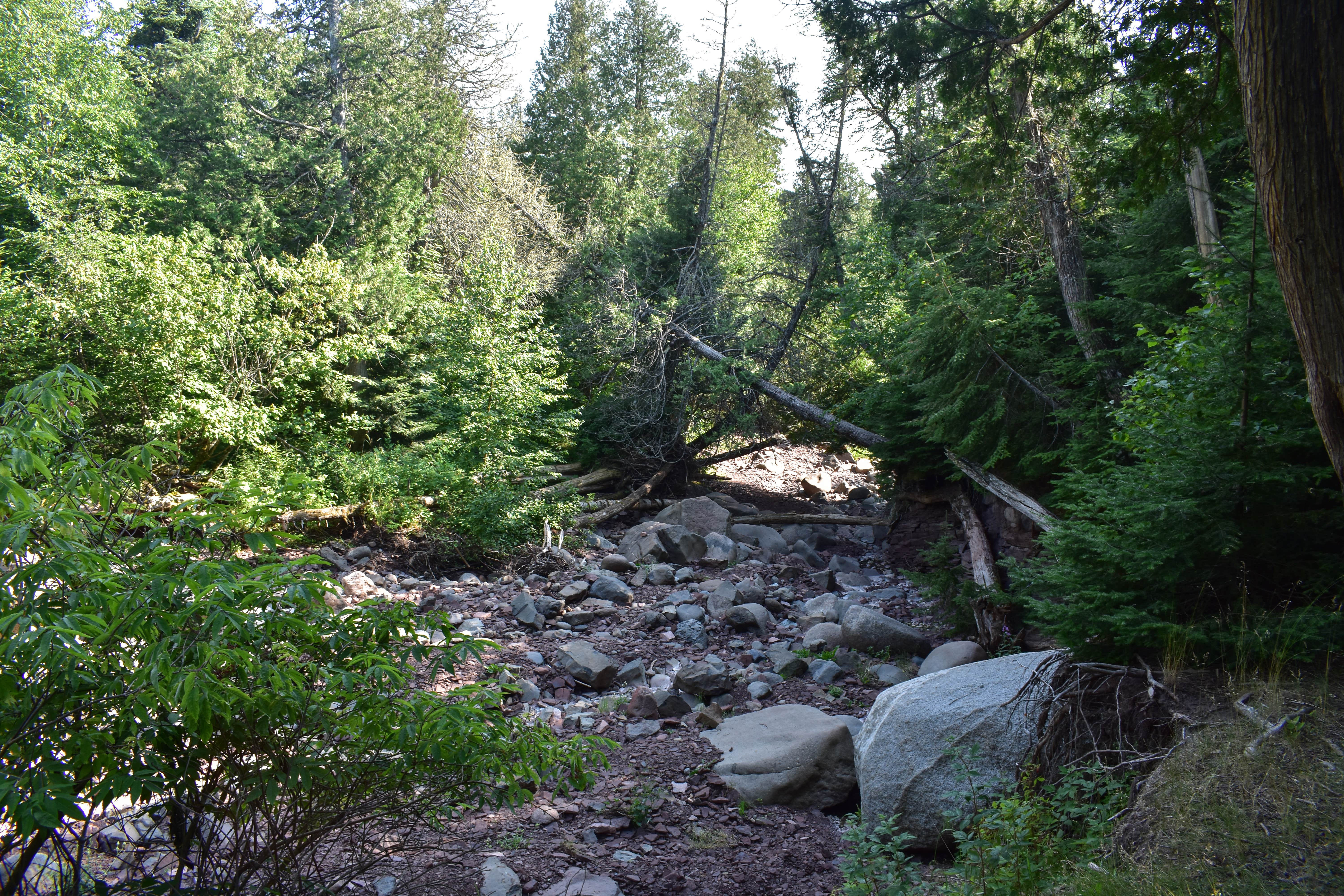 Camper submitted image from Trout Creek Camp - 3