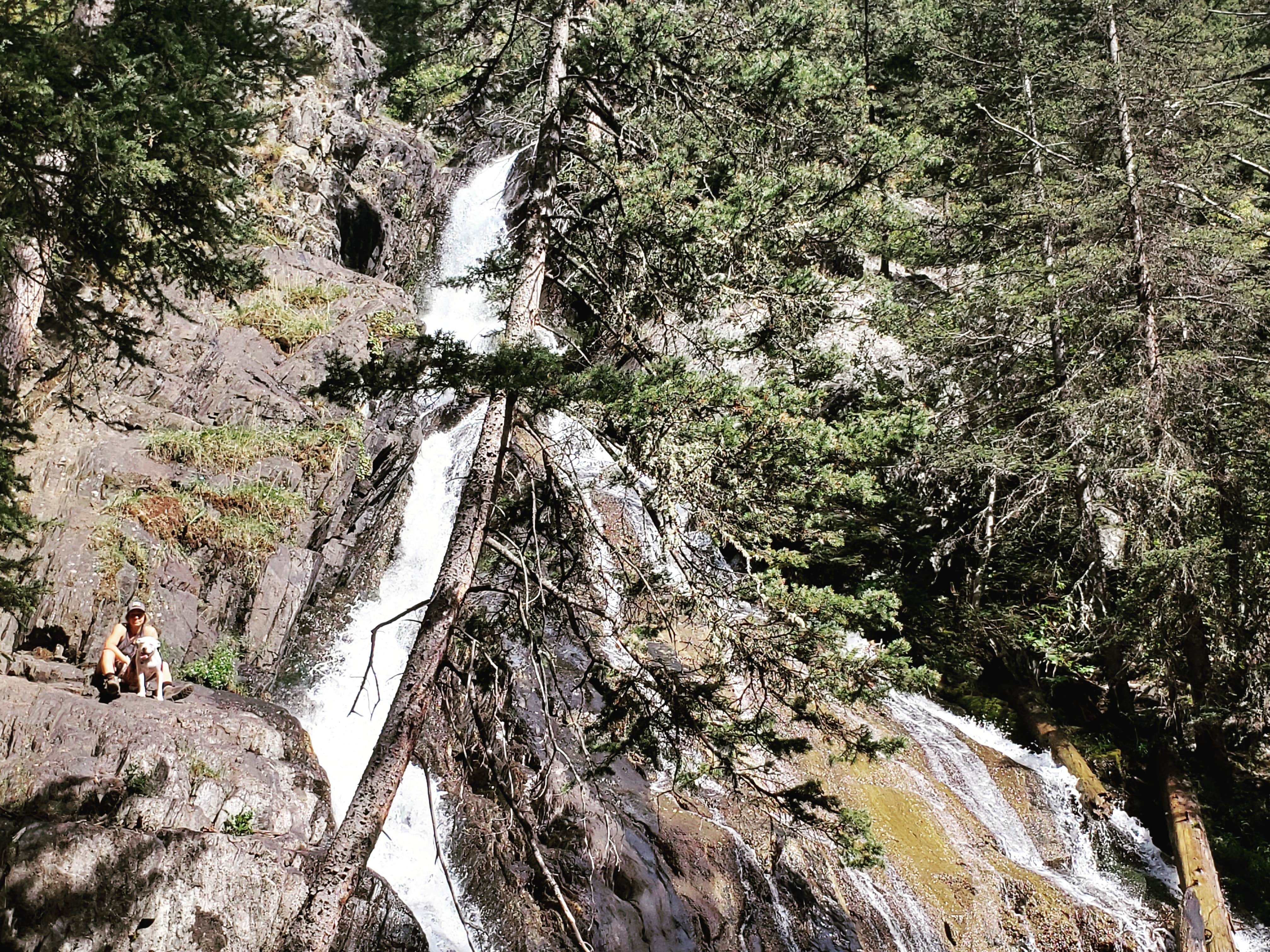 Camper submitted image from Pine Creek Campground - 5