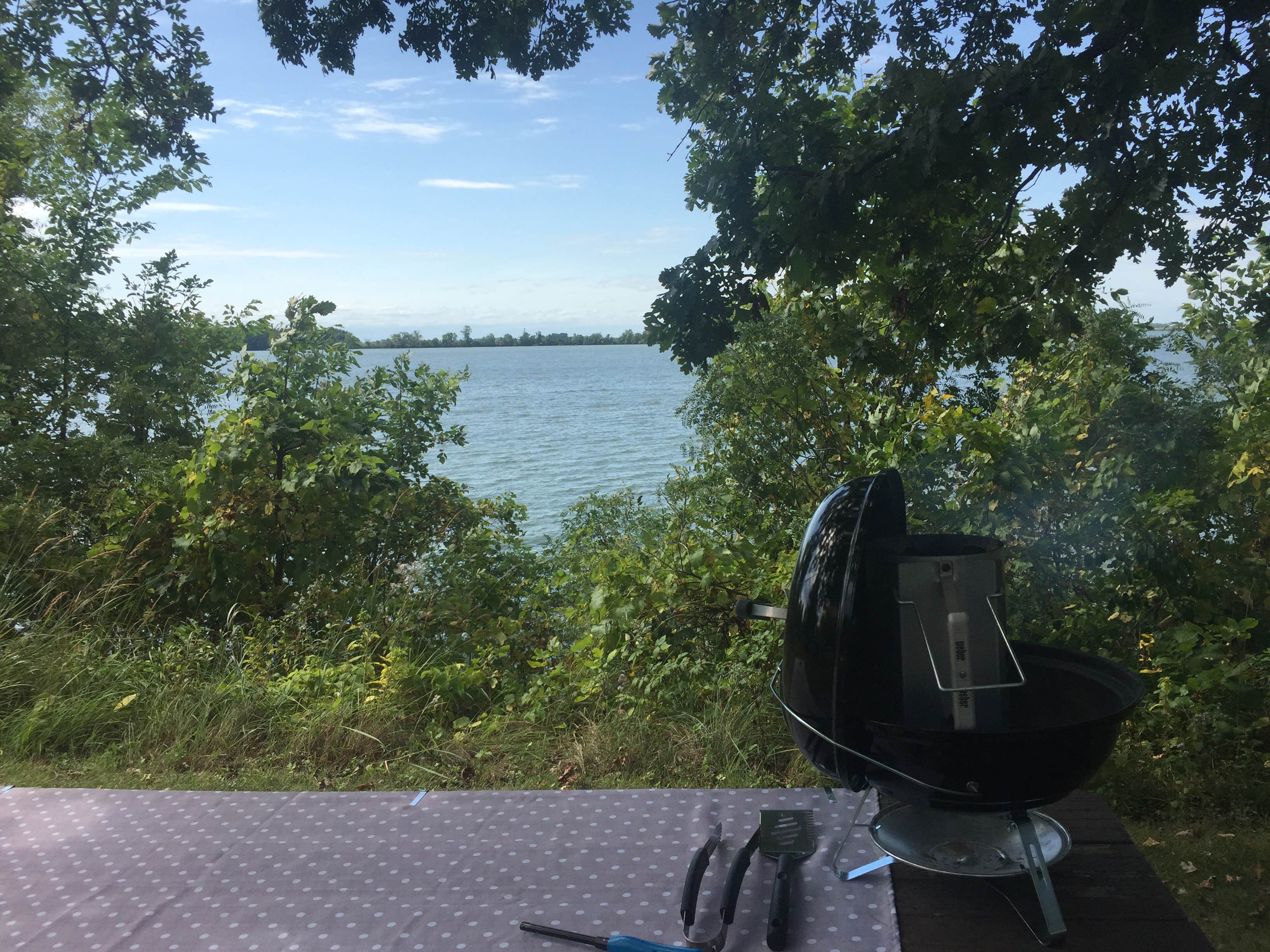 Camper-submitted photo at Daly Park & Campground near Blue Earth, MN