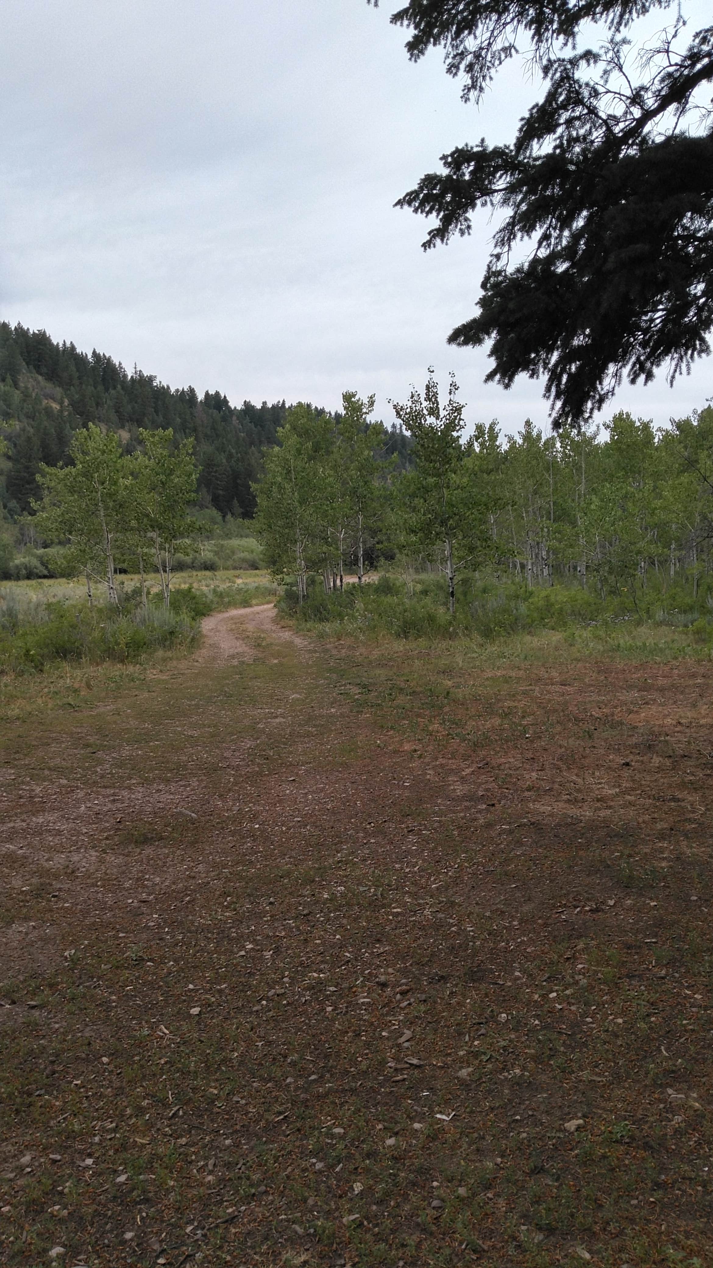 Camper-submitted photo at Eightmile Canyon near Soda Springs, ID