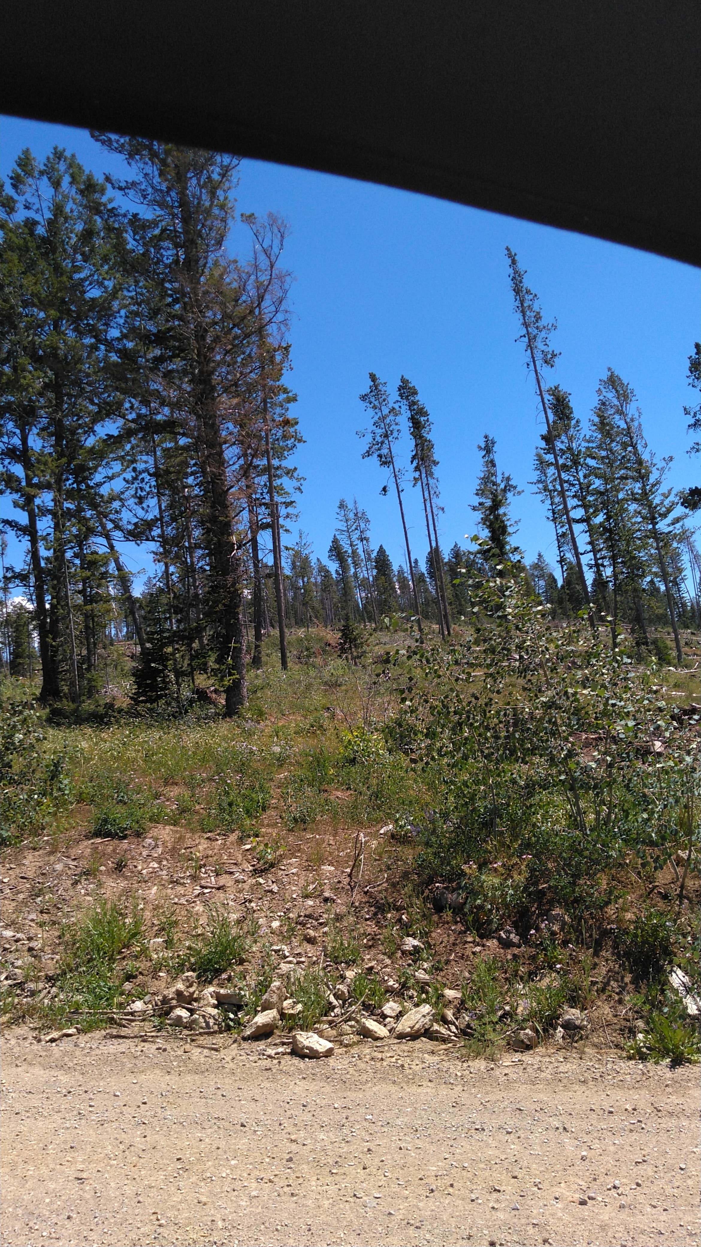 Camper-submitted photo at Eightmile Canyon near Soda Springs, ID