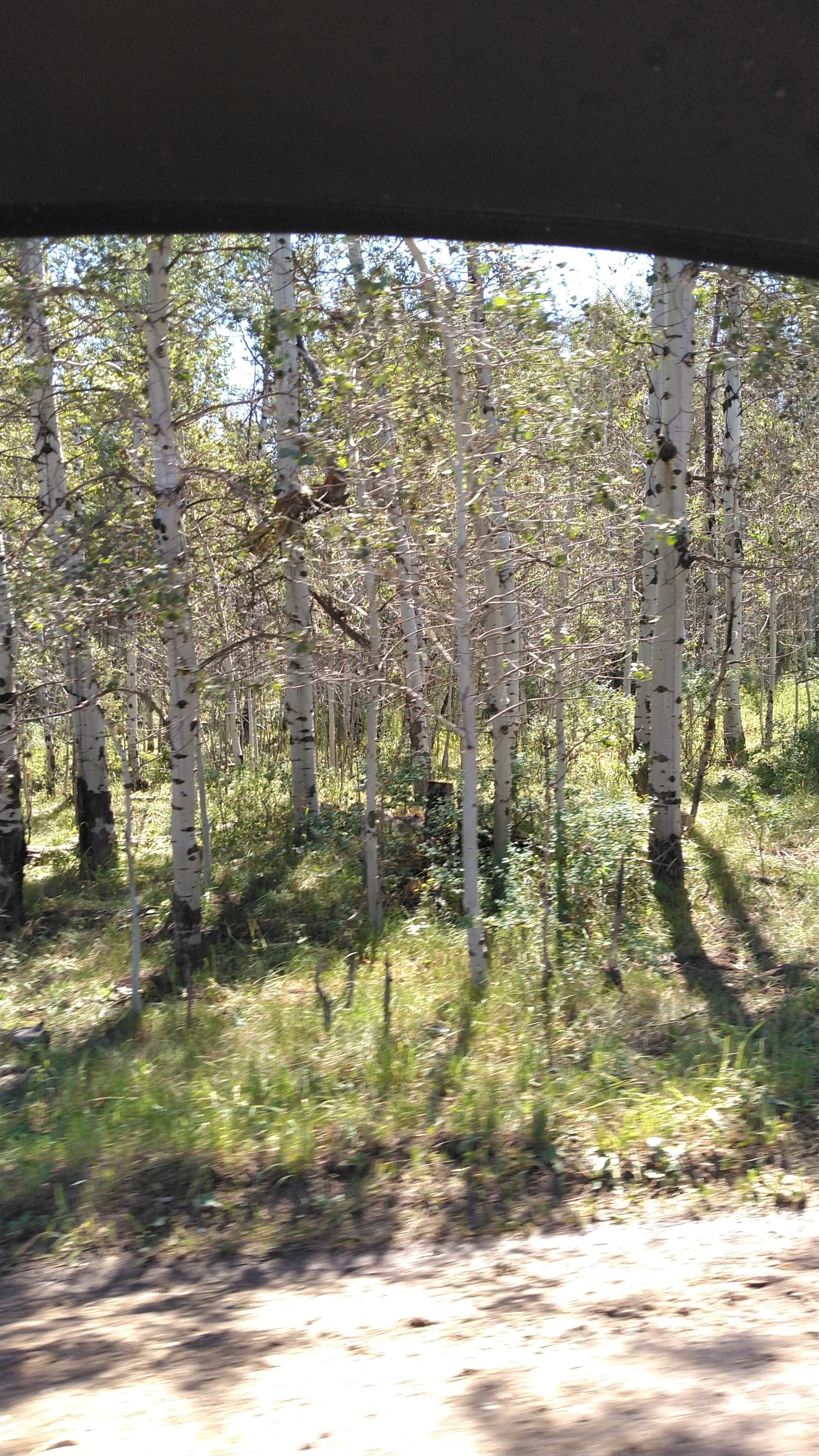 Camper-submitted photo at Cold Springs Campground near Soda Springs, ID