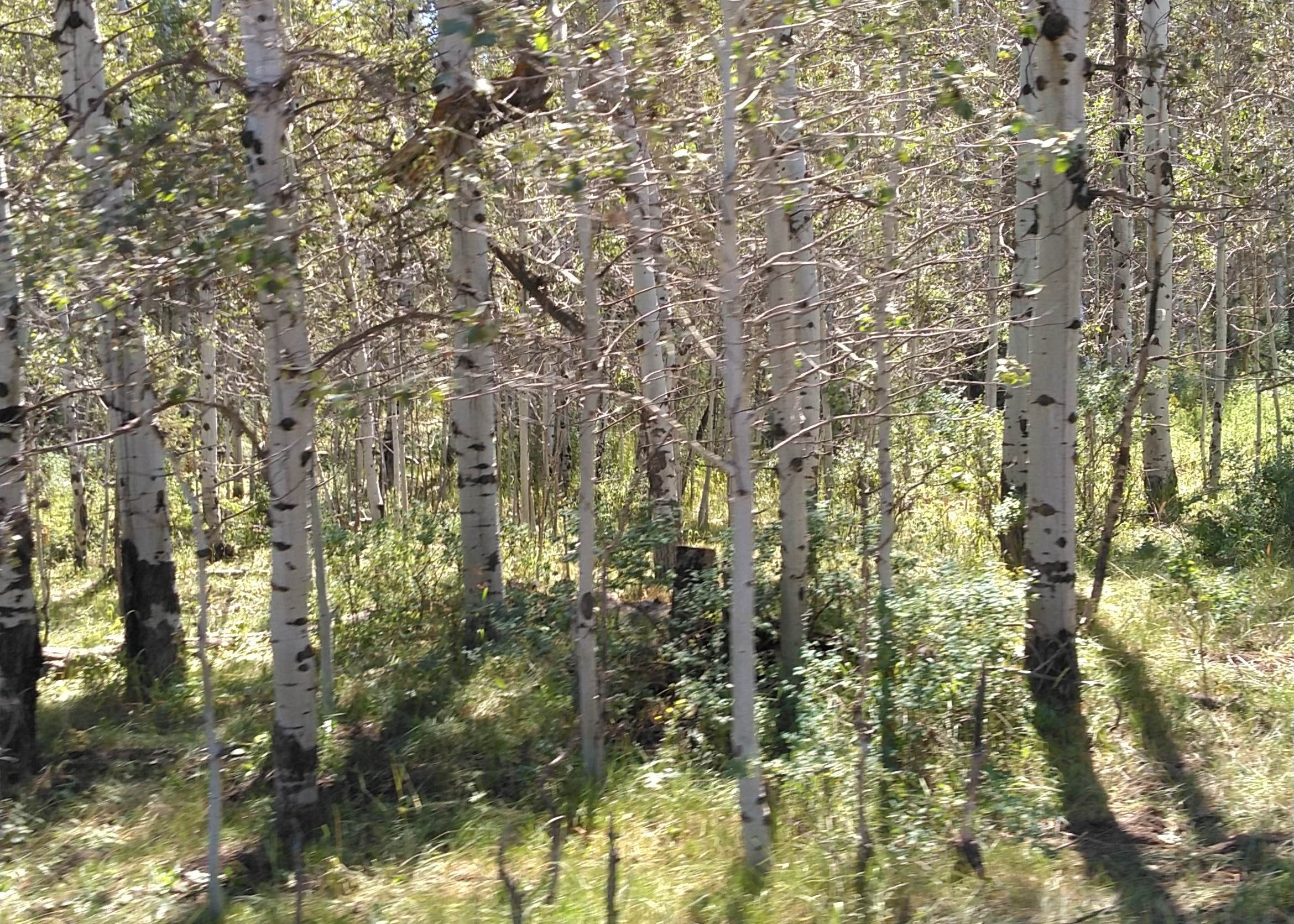 Cold Springs Campground Weare Nh - umhiwu5