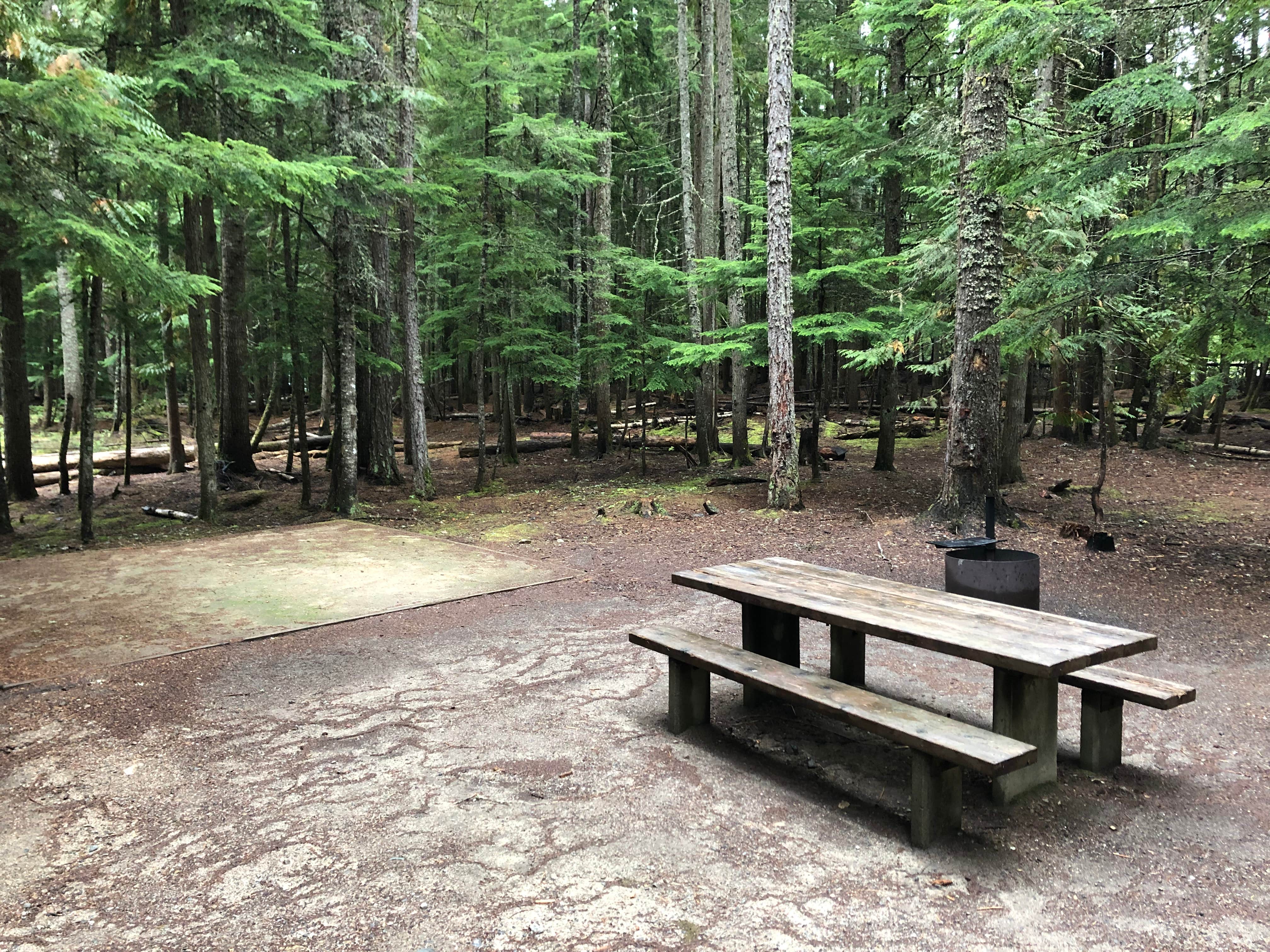 Camper submitted image from Beaver Creek Campground - 2