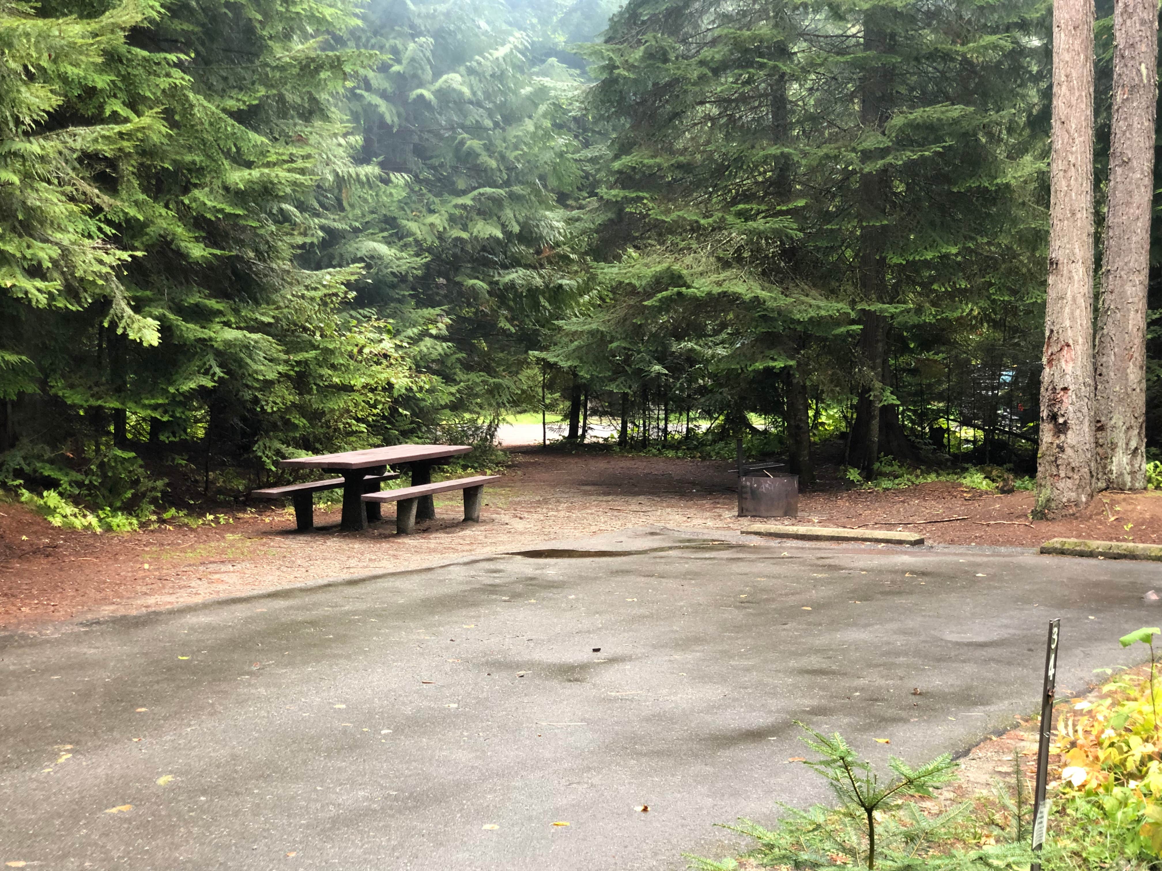 Camper submitted image from Beaver Creek Campground - 5