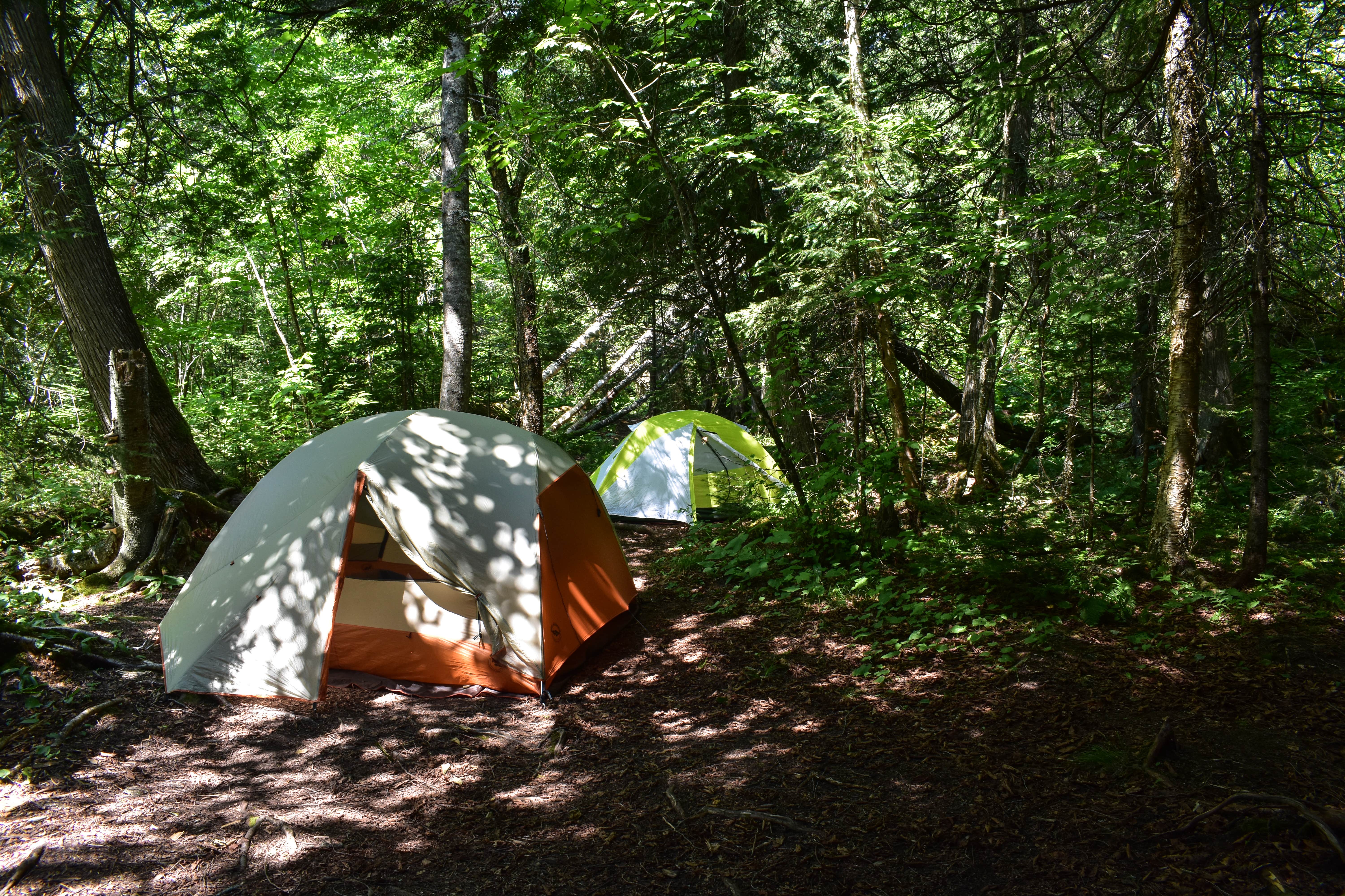 Steph H.'s photo at Trout Creek Camp near Lutsen, MN