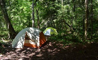 Steph H.'s photo at Trout Creek Camp near Lutsen, MN