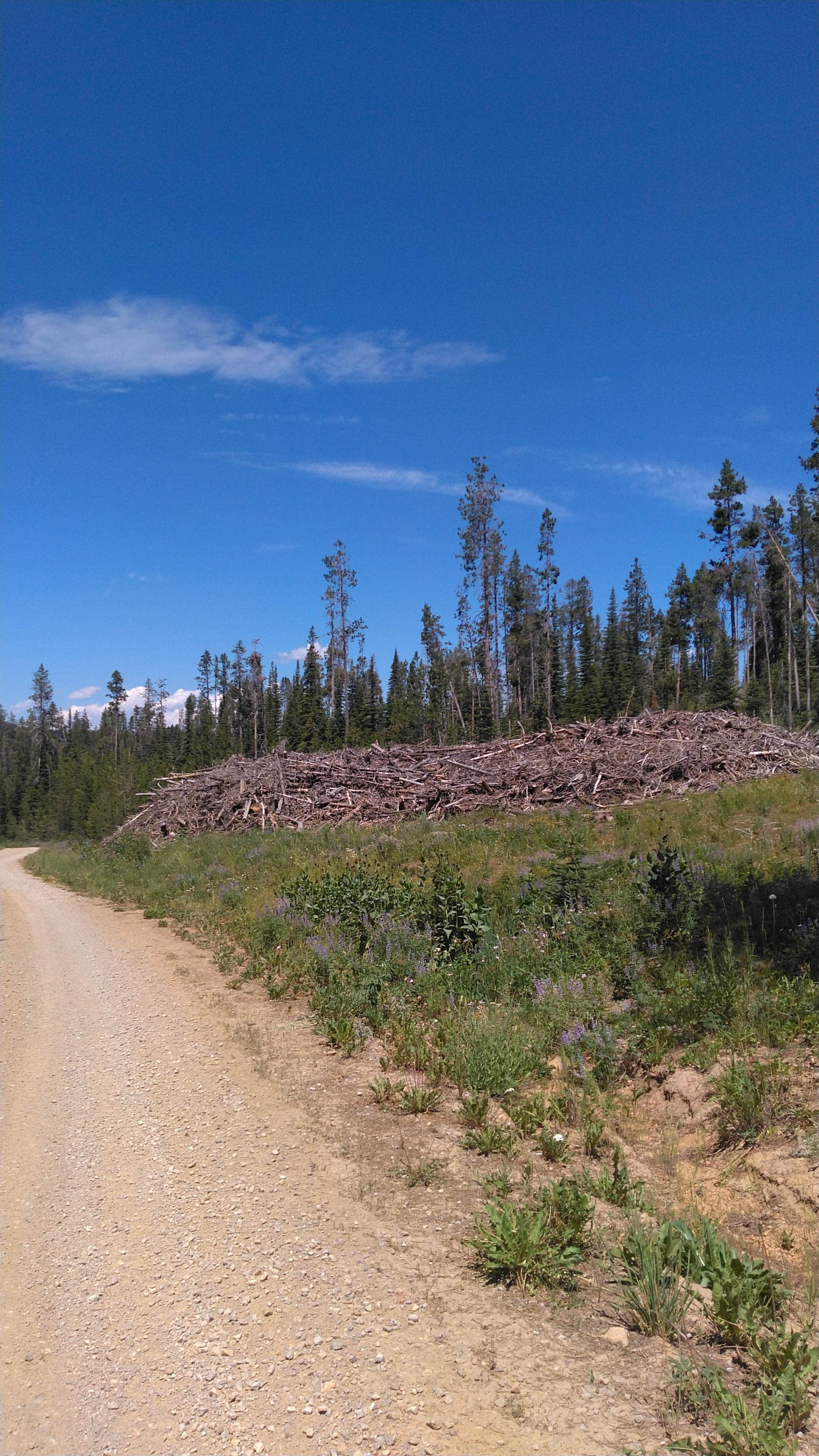 Camper-submitted photo at Eightmile Canyon near Soda Springs, ID