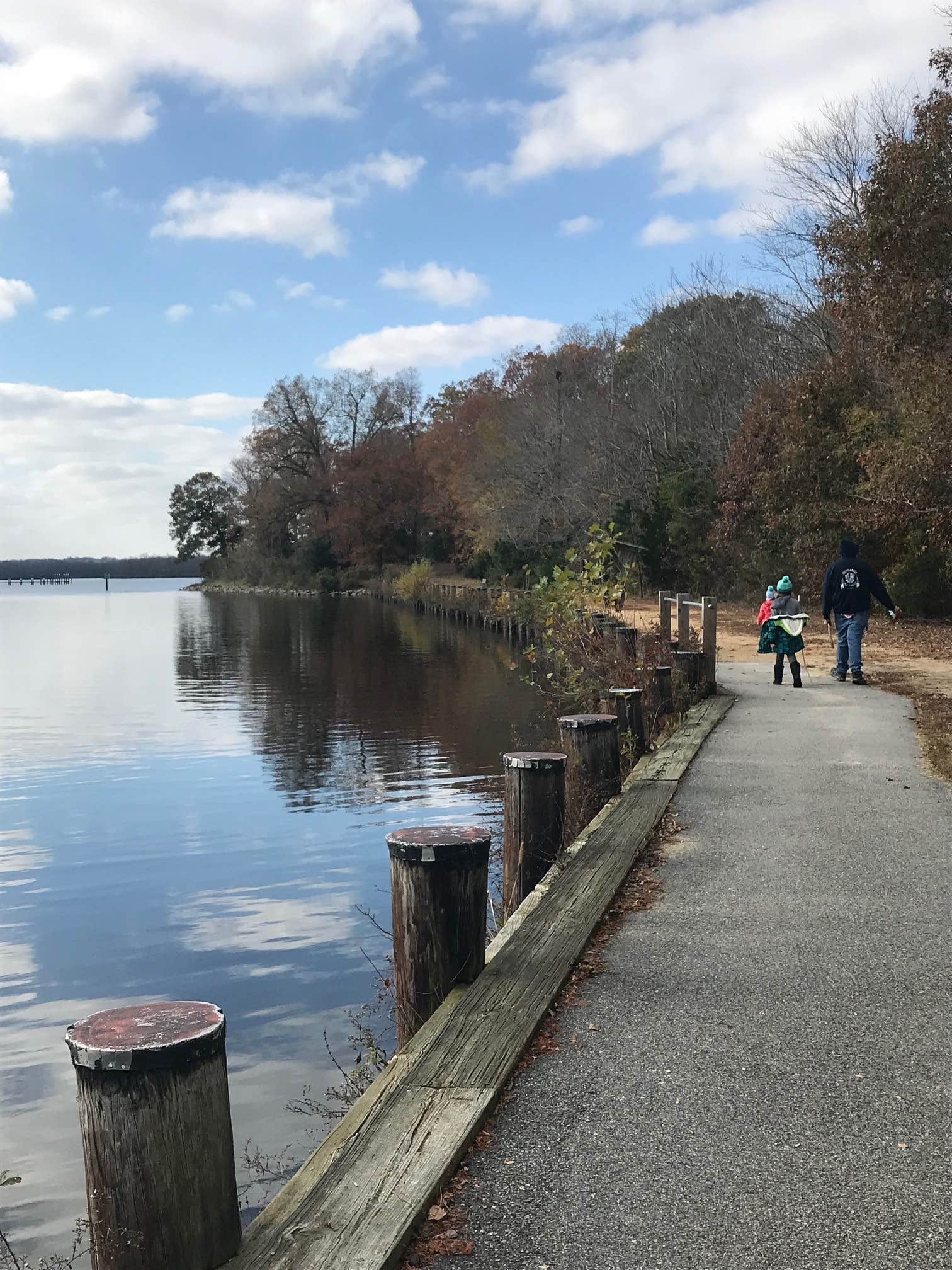 Camper submitted image from Martinak State Park Campground - 4