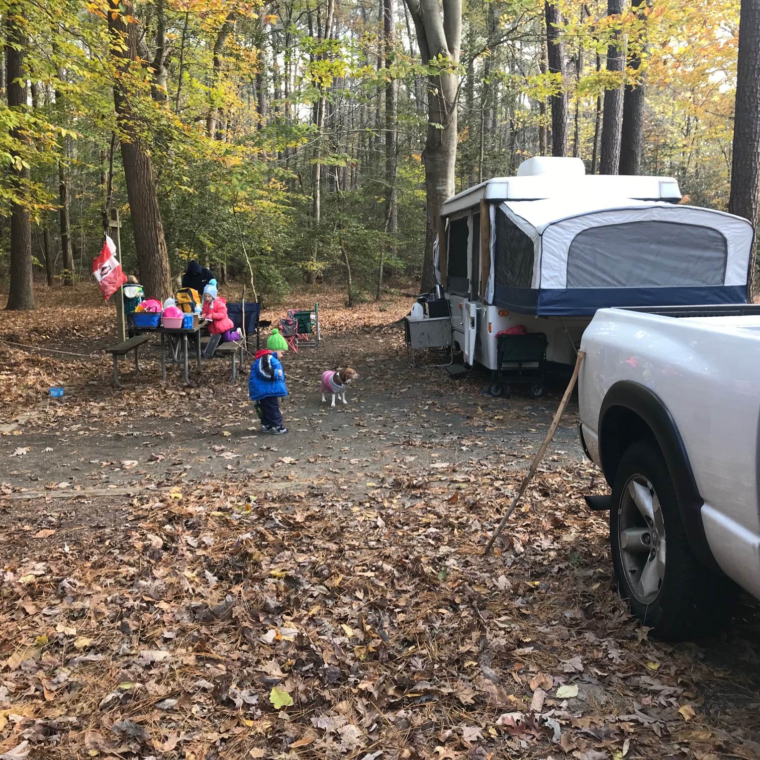 Escape to Tranquility: Maryland's Martinak State Park