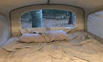 Camping near Vienna Maryland Wooded Campsite: Martinak State Park Campground, Denton, Maryland