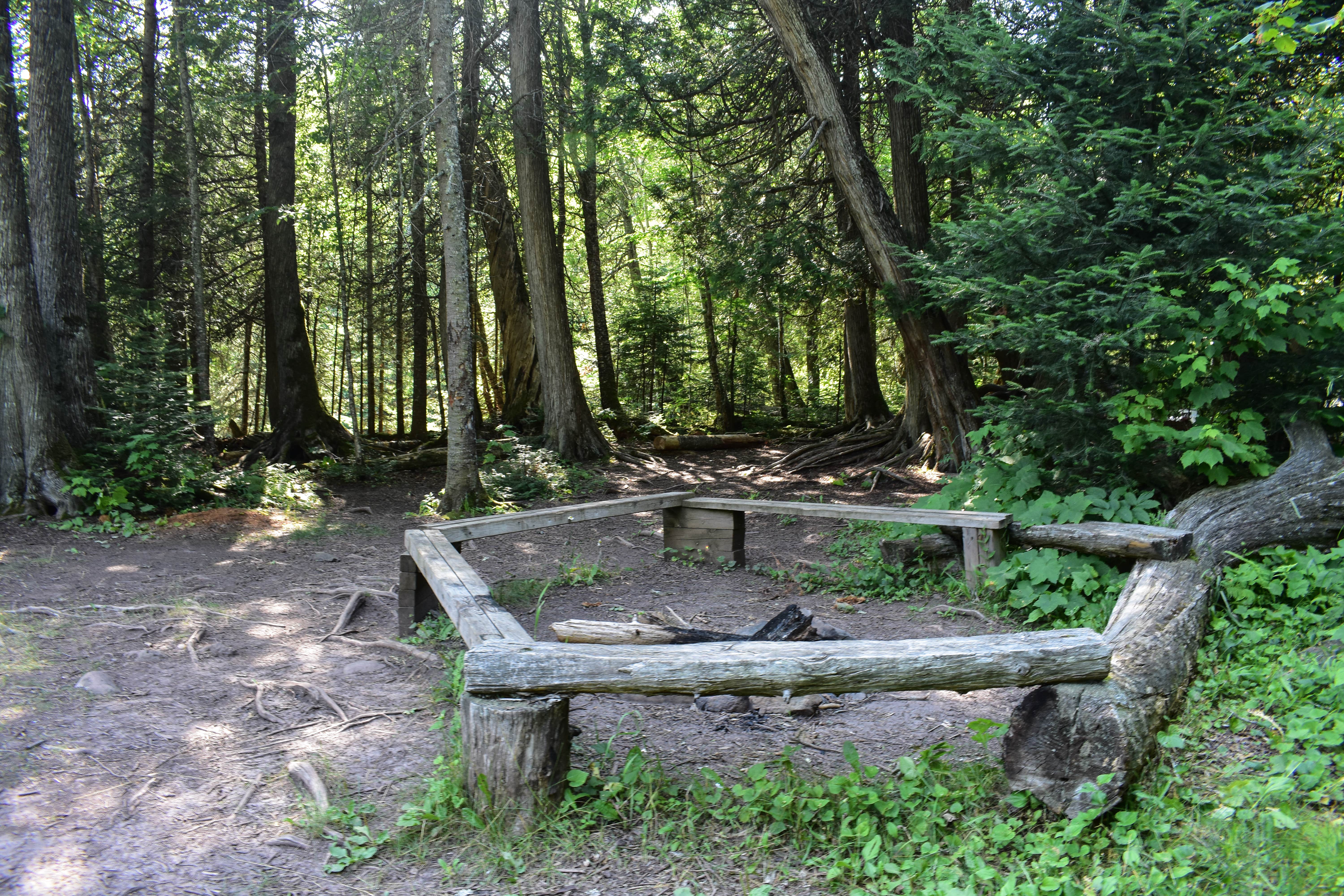 Camper submitted image from Trout Creek Camp - 5
