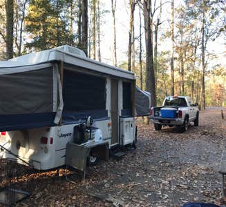 Camper-submitted photo from Cedarville State Forest