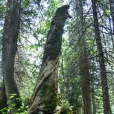 Review photo of Trout Creek Camp by Steph H., August 7, 2017