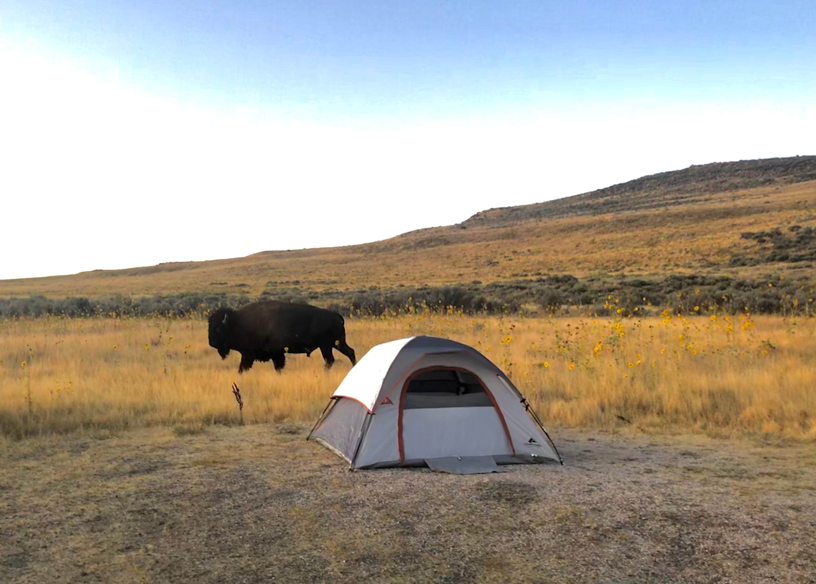 Adam F.'s photo at Bridger Bay Campground — Antelope Island State Park near Hooper, UT